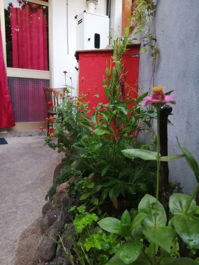 Daddanca Bed & Breakfast Ales